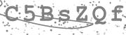 This is a CAPTCHA image, use shortcut Ctrl + Alt + P to play the alphabet audio for this image